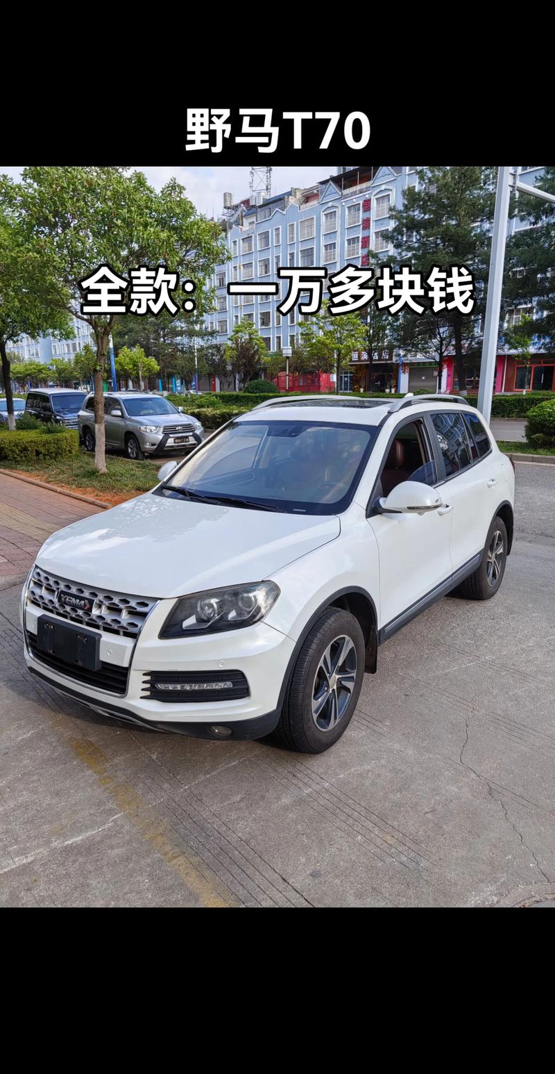 野马越野车报价(野马越野车报价多少)
