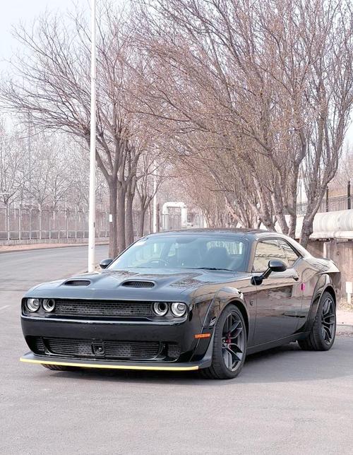 【道奇跑车汽车报价及图片大全,道奇跑车报价多少钱】