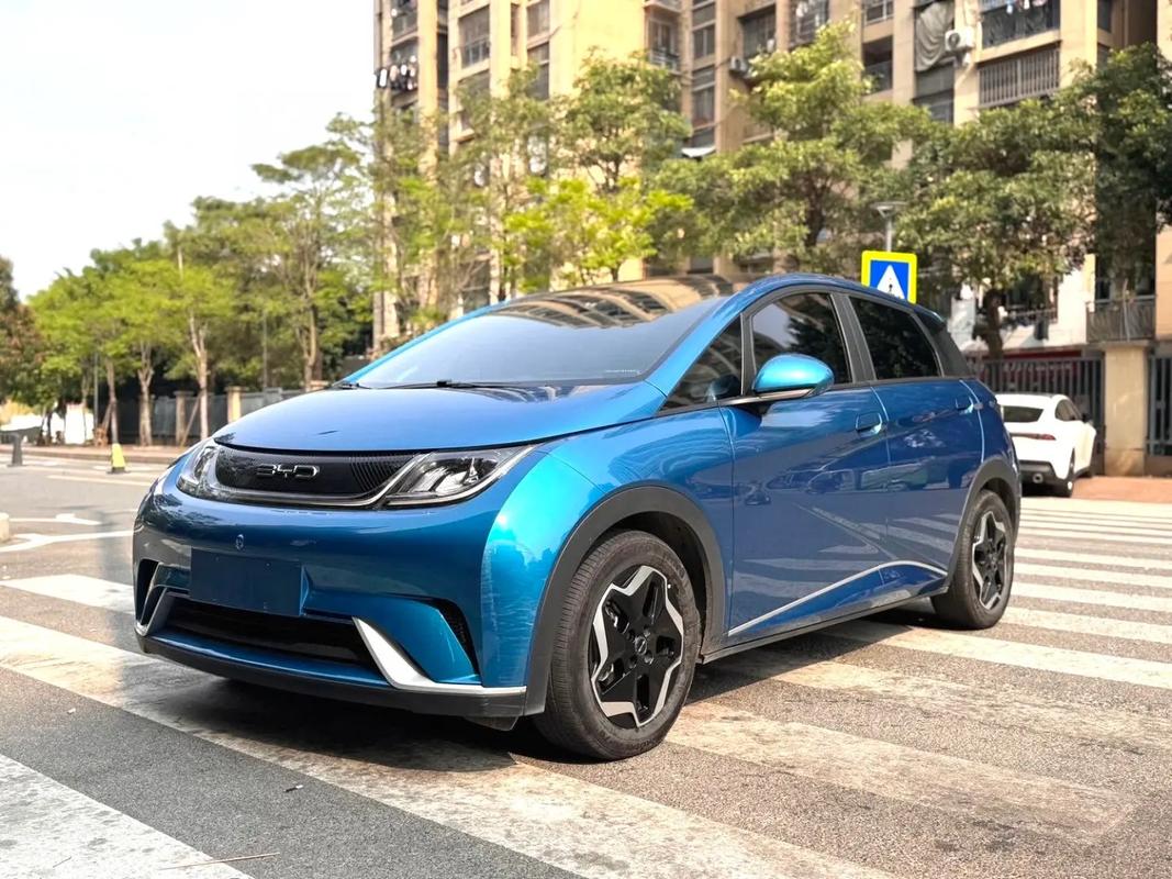 2021款纯电动汽车／纯电动2022