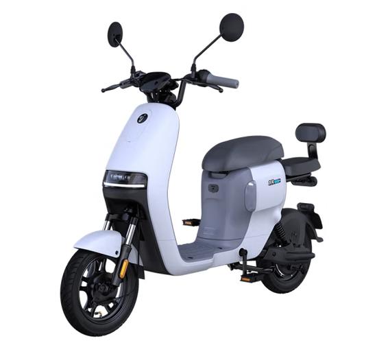 全国电动自行车十大名牌,电动自行车十大名牌排名及价格电机多少千瓦